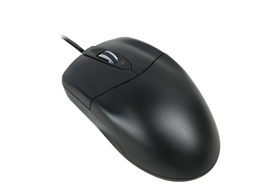 Amazon.com: Adesso 3-Button Desktop Optical Scroll USB Mouse with